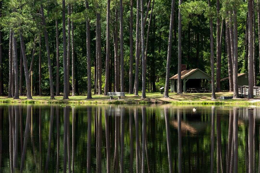 Water and Shelter at Aiken State Park